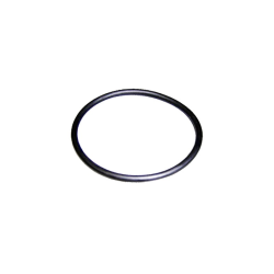 O-ring d.56,7x3,5 Pump Victoria Plus AstralPool 4405010161