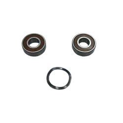 bearing Motor up to 1cv AstralPool 4405010135