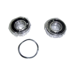 Rodamiento motor pump Victoria Plus 3 CV II AstralPool 4405010171