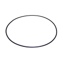 Gasket Flange Motor Pump Victoria Plus AstralPool 4405010160