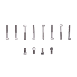 Screw kit brida motor pump Victoria Plus AstralPool 4405010133