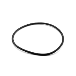 O-ring filter Millennium and Cantabric AstralPool 4404180201