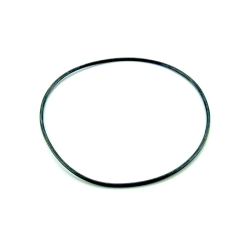 O-ring 255 x 4 filter AstralPool 4404020116