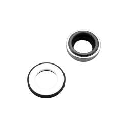 Gasket Mecánica Pump Maxim AstralPool 4405010322