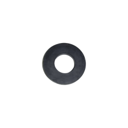 Arandela deflectora pump Maxim AstralPool 4405010374