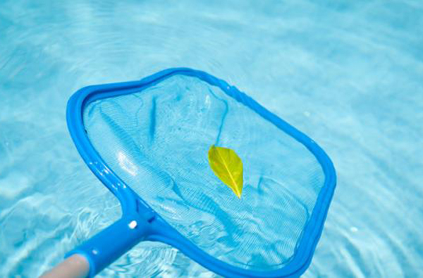 Recoge hojas para limpiar piscina sin depuradora